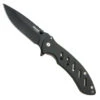 Bear Edge Brisk 1.0 Frame Lock Folder, Black Blade